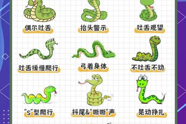 梦到蛇时该如何解读？常见梦境解析