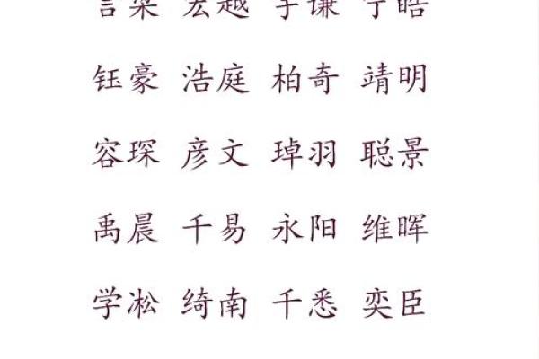 男宝宝取名的独特技巧与创意灵感指南