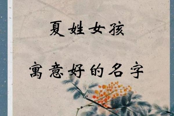 给女宝宝起名：寓意与音韵的完美结合