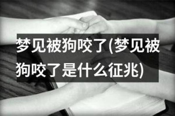 梦到被狗咬会影响运势吗