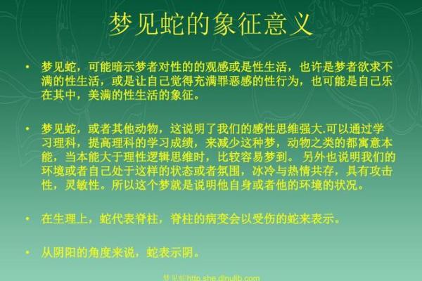梦见蛇群是否预示着生活中的变化