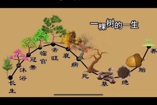 天干十二长生表详解与应用分析