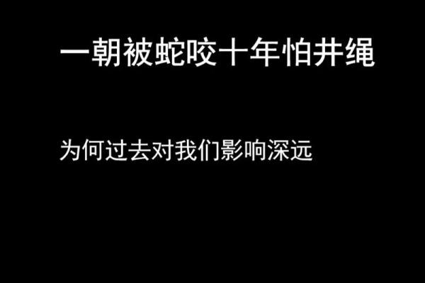 如何理解梦到被蛇咬的多重象征意义