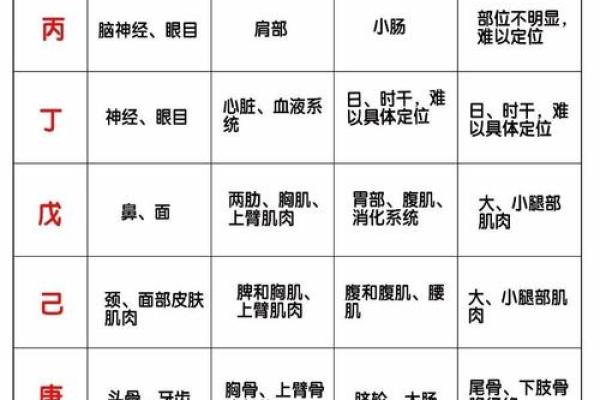 天干与五行的关系解析：如何通过天干理解五行属性