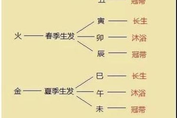 探寻最准确的生辰八字命理分析方法