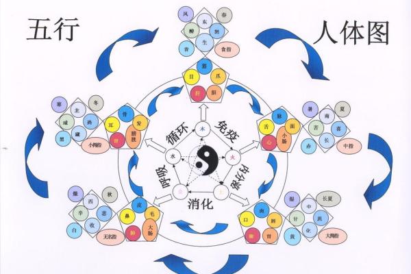 阴阳命理与人生转折：如何运用五行调和命运