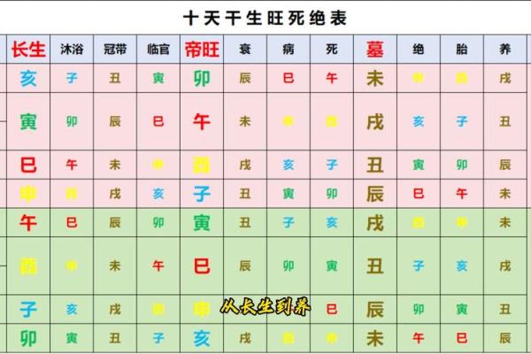 走进命理世界：从基础开始学会解读八字和五行