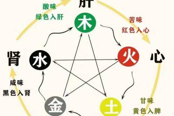 走进命理世界：从基础开始学会解读八字和五行