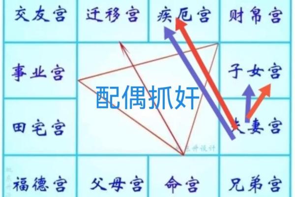 紫薇命理入门：理解命盘与人生选择的联系