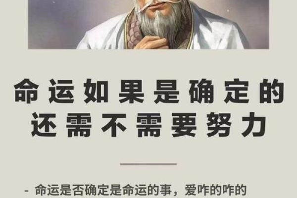 谢娜命理解析：命运与努力交织的奇迹