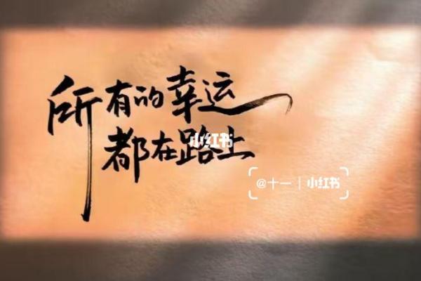 谢娜命理解析：命运与努力交织的奇迹
