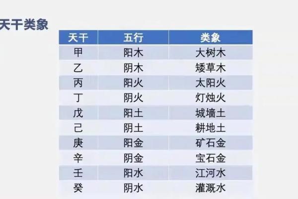 天干地支在大运中的作用分析