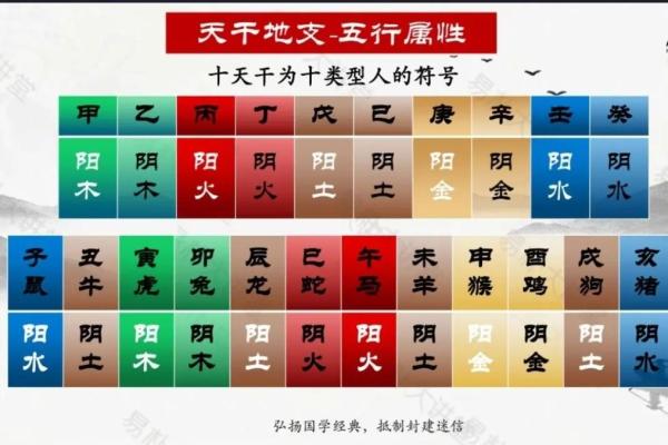 天干地支五行属性解析与应用指南