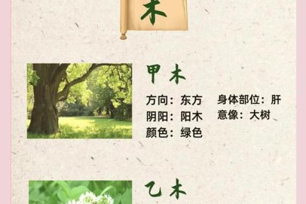 天干辛的象征意义与五行属性解析
