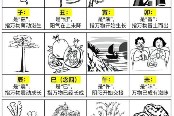 天干地支图解读与运用技巧解析