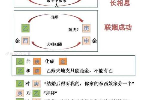 天干与地支的相互作用分析：哪个更为关键