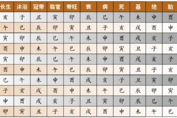 天干与地支的关系及其应用