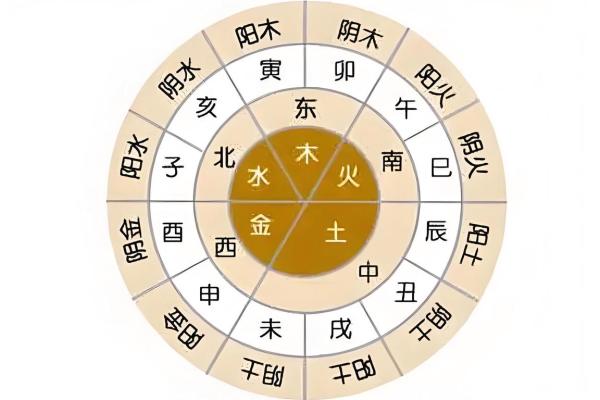天干与地支的关系及其应用