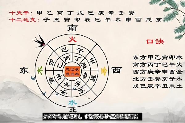 五行与天干地支的关系解读及对照表分析