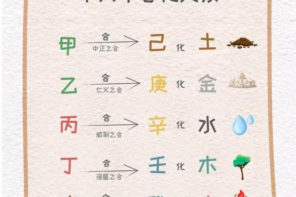 天干地支合化表在命理学中的应用与解读