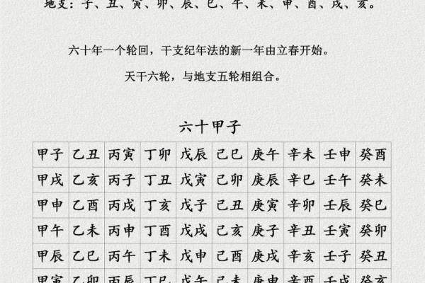 天干地支时间对照表详解与应用解析