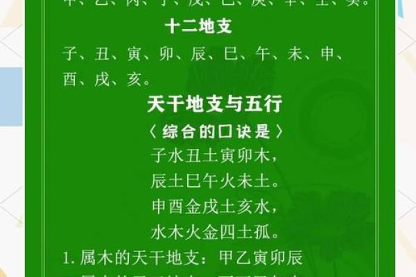天干地支对照表详解及应用指南