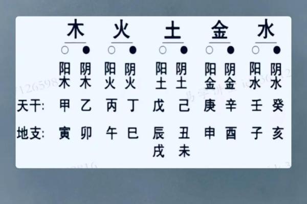 天干地支在命理学中的权重之争