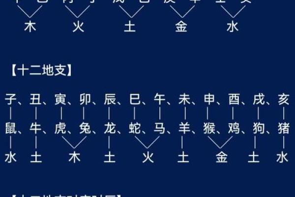 天干地支在命理学中的权重之争