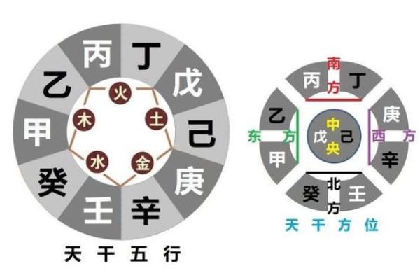 十二地支与阴阳五行的完美融合