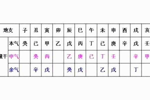 亥地支与流年运势的深度关联