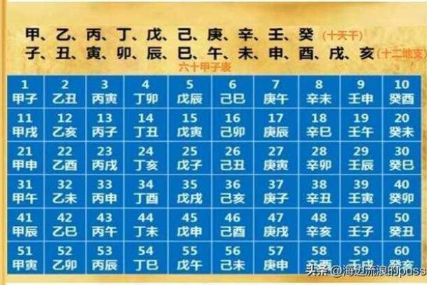 十天干与十二地支如何影响命运与运势
