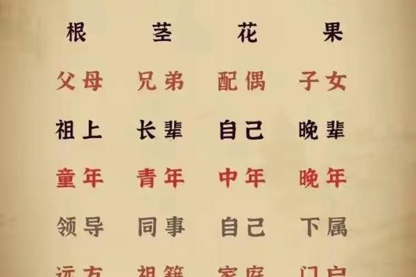 今字五行属性及其在命理中的作用