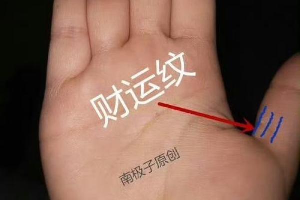 大拇指肚面相：揭示命运走向的神秘密码