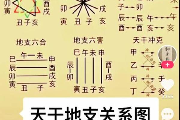 地支辛在十二地支中的独特地位