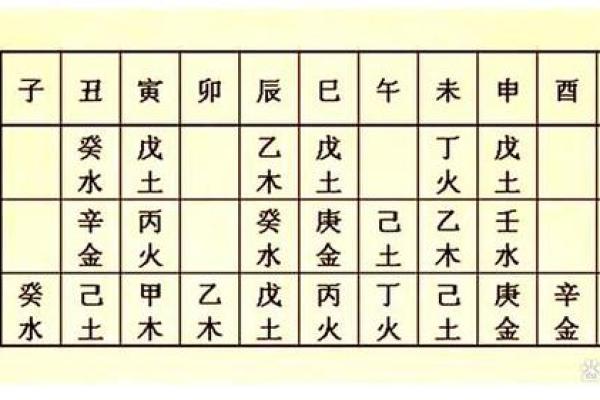 探索地支在命理学中的作用