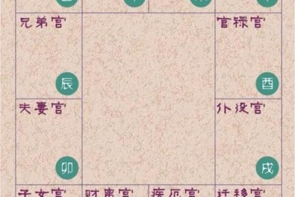 命宫地支的不同组合及其象征意义