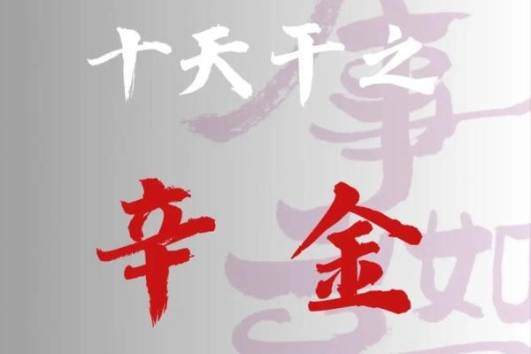 辛金地支在命理中的作用与影响