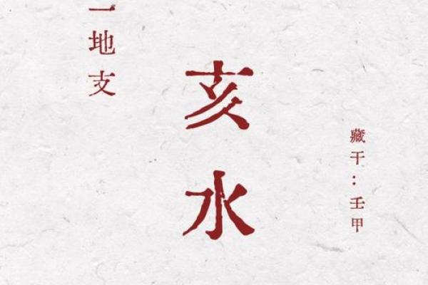 亥未地支在八字中的影响