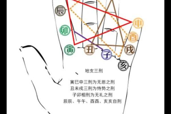 如何理解地支合冲刑的关系