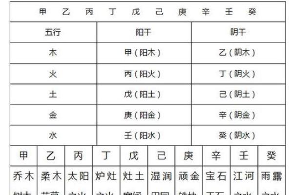 地支间的互动与命理解析