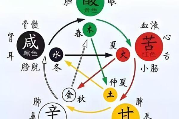 探索五行中的玄学智慧