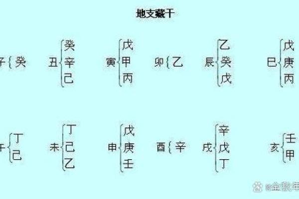 十二地支藏干深度揭秘