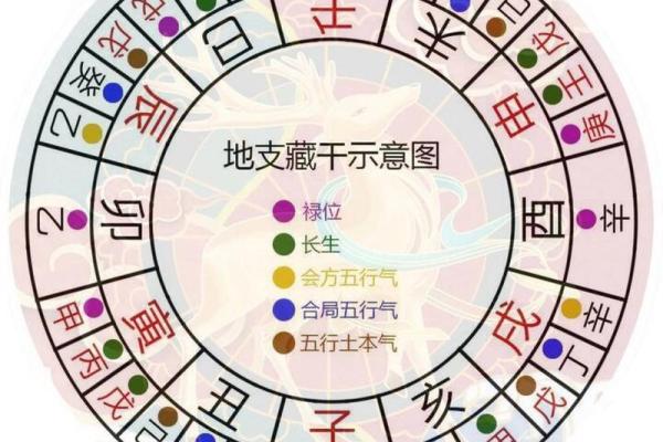 十二地支藏干深度揭秘