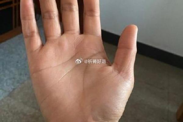 掌上观星运，揭秘明星命运密码