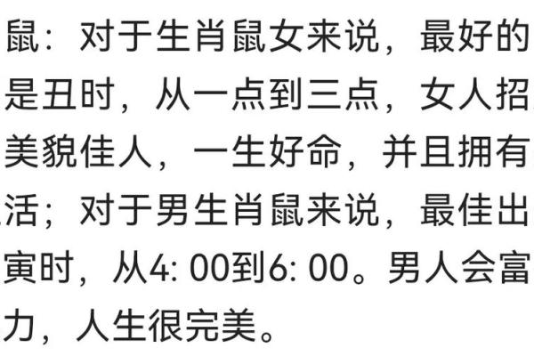 探索狗年出生者的八字命理特点