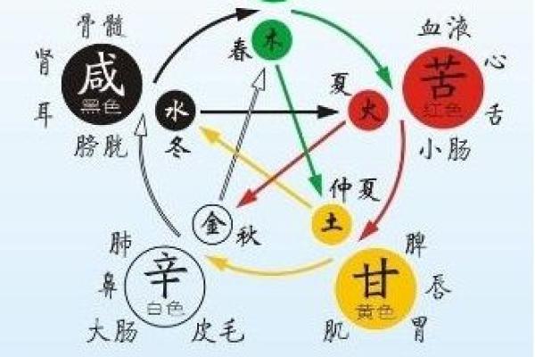 解析五行数：数字背后的阴阳五行理论