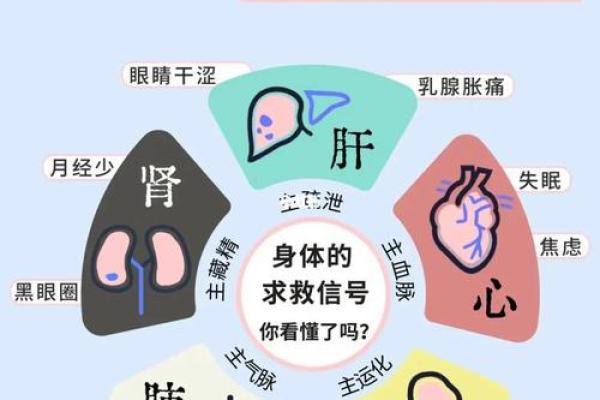 贤五行教你如何平衡内心与外界