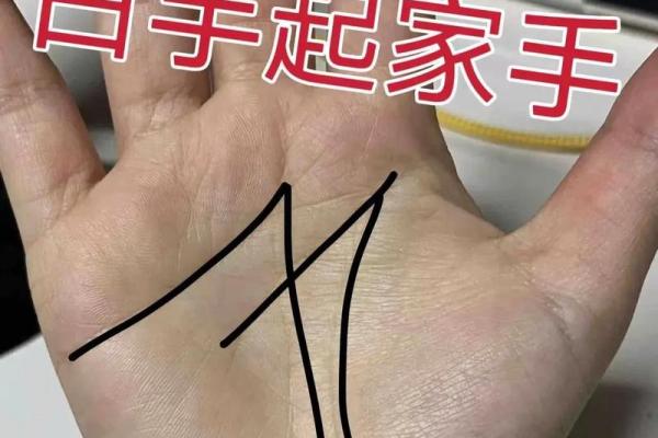 手相揭秘：元宝格局，财运亨通的秘密！