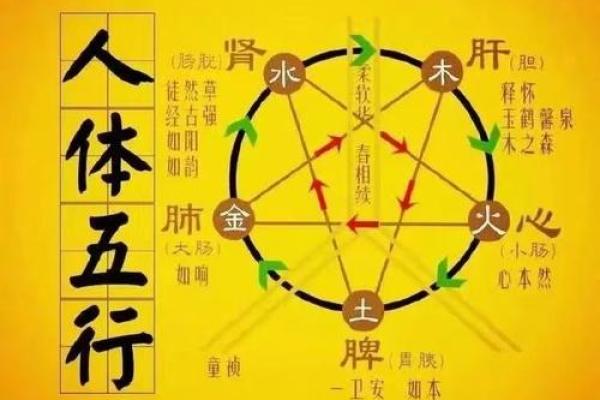 五行属火还是木