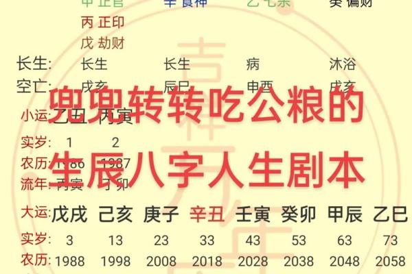 如何通过生辰八字查询系统破解人生密码